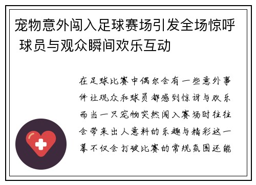 宠物意外闯入足球赛场引发全场惊呼 球员与观众瞬间欢乐互动