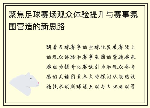 聚焦足球赛场观众体验提升与赛事氛围营造的新思路