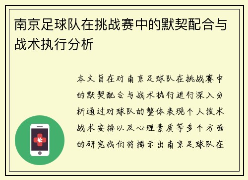 南京足球队在挑战赛中的默契配合与战术执行分析