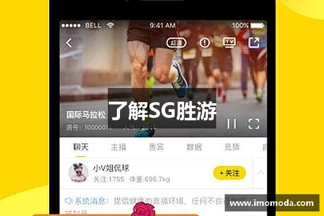 了解SG胜游